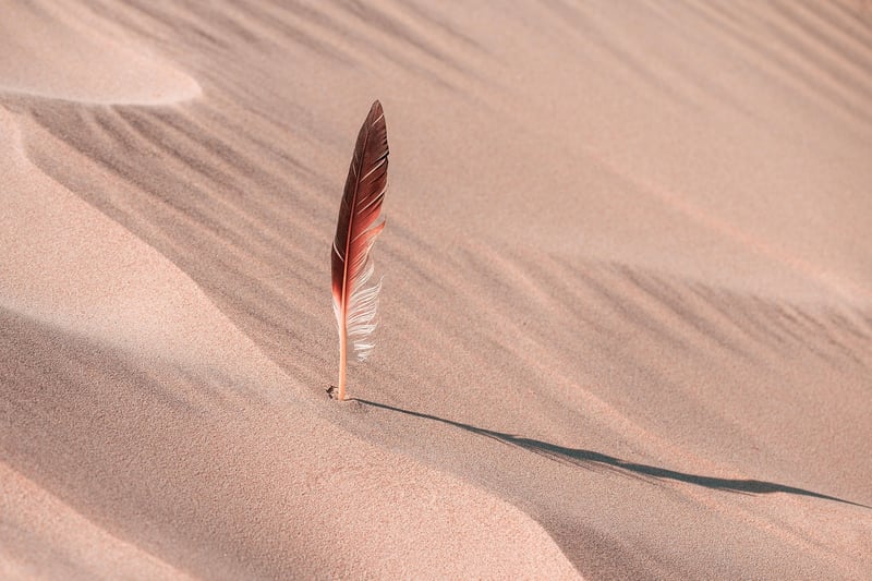 Arrakis